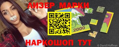 индика Новодвинск