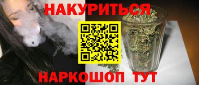 индика Новодвинск