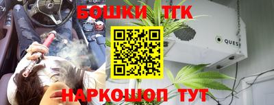 индика Новодвинск