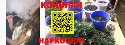 индика Новодвинск
