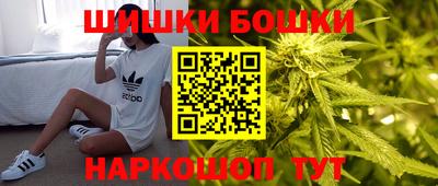 индика Новодвинск