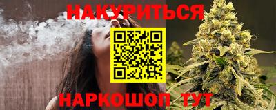 индика Новодвинск